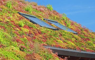 Welldale living roof systems
