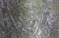 Welldale fibreglass roof work